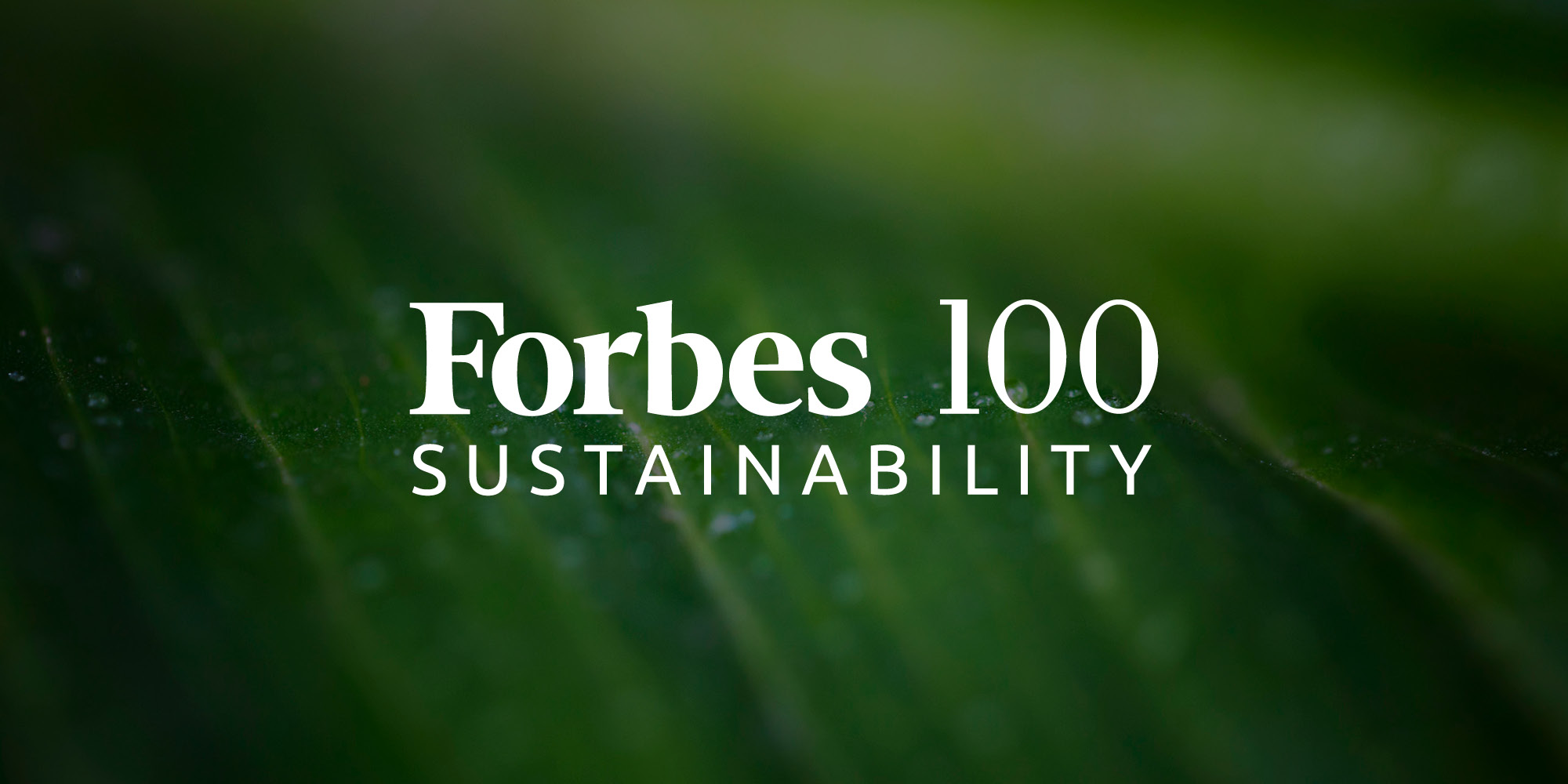 Forbes 100 Sustainability